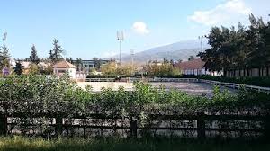 Breathe fresh air, enjoy horse riding, and share peaceful moments with family at Club Hippique Mitidja.