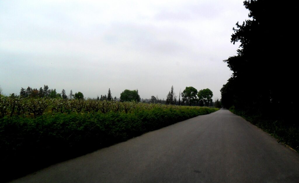 nature view in  oued el alleug