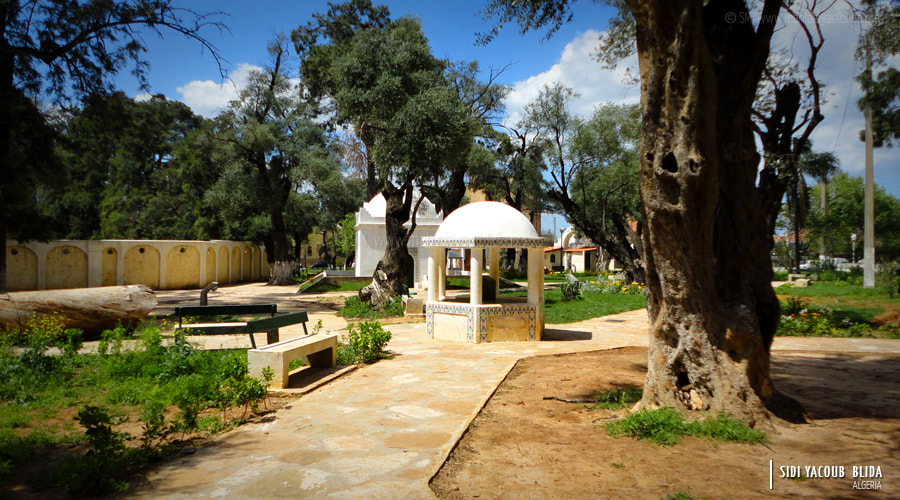 Sidi Yakoub Garden (Mohamed V Garden)